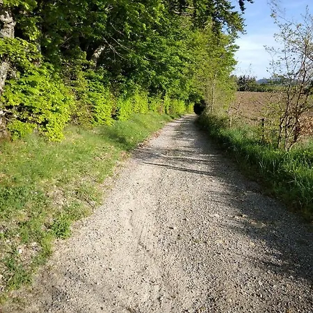 Chmabre Avec Petit Dejeuner Inclus A Dix Minutes Du Lac De La Raviege
